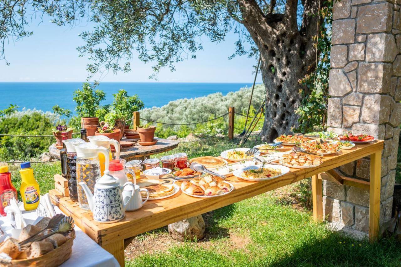 Holiday Park Olive Tree Ulcinj Zewnętrze zdjęcie