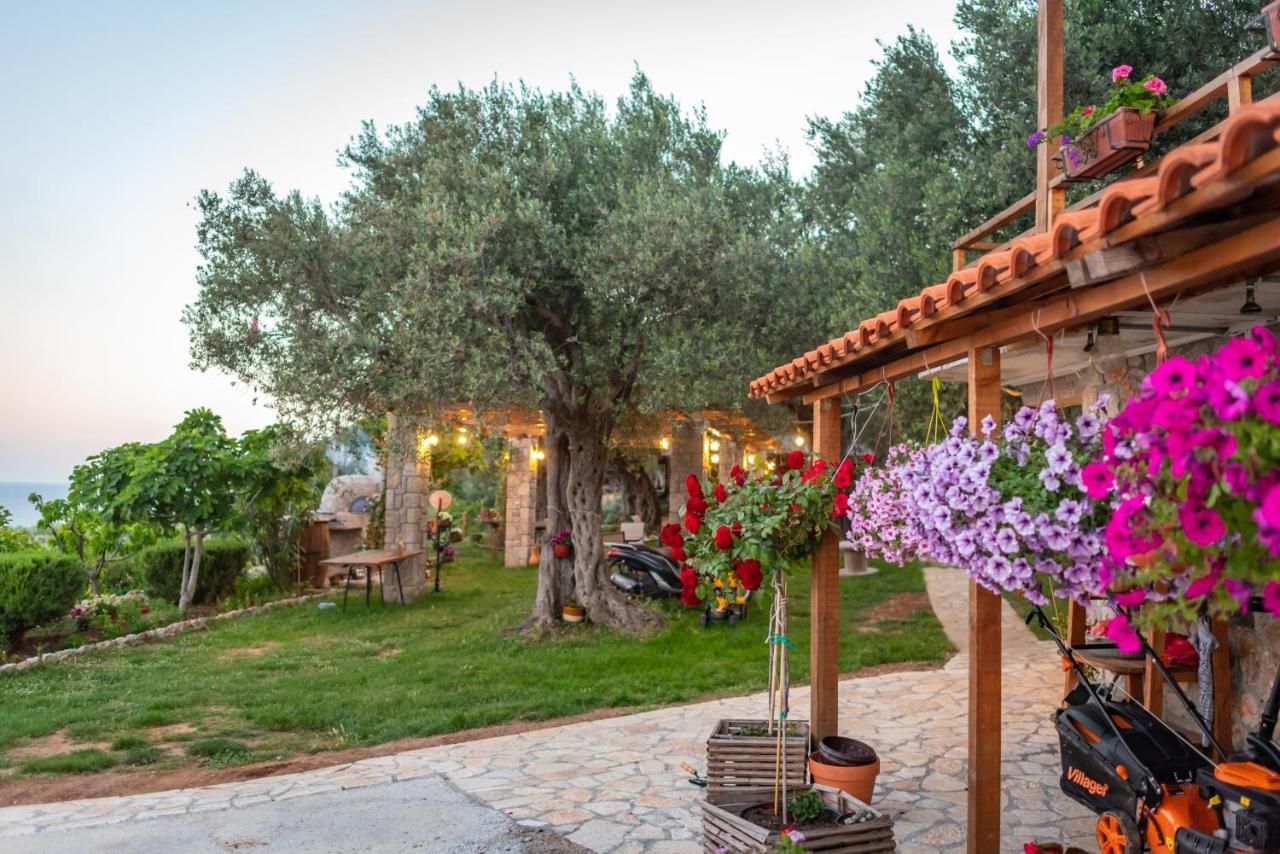Holiday Park Olive Tree Ulcinj Zewnętrze zdjęcie
