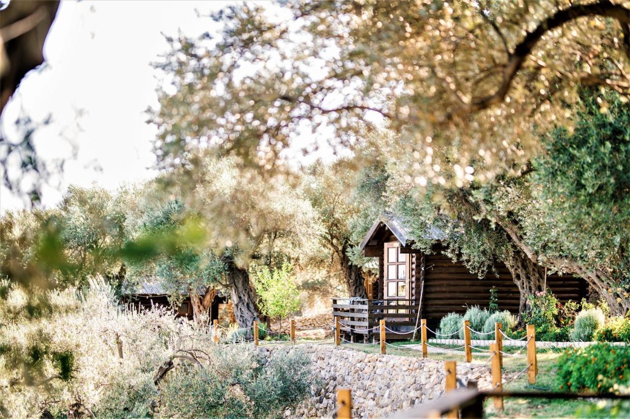 Holiday Park Olive Tree Ulcinj Zewnętrze zdjęcie