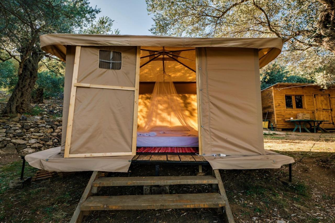 Holiday Park Olive Tree Ulcinj Zewnętrze zdjęcie