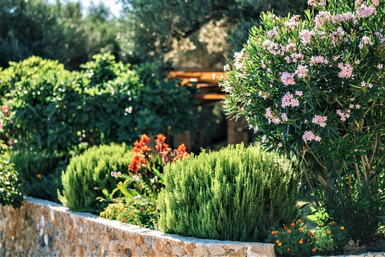 Holiday Park Olive Tree Ulcinj Zewnętrze zdjęcie