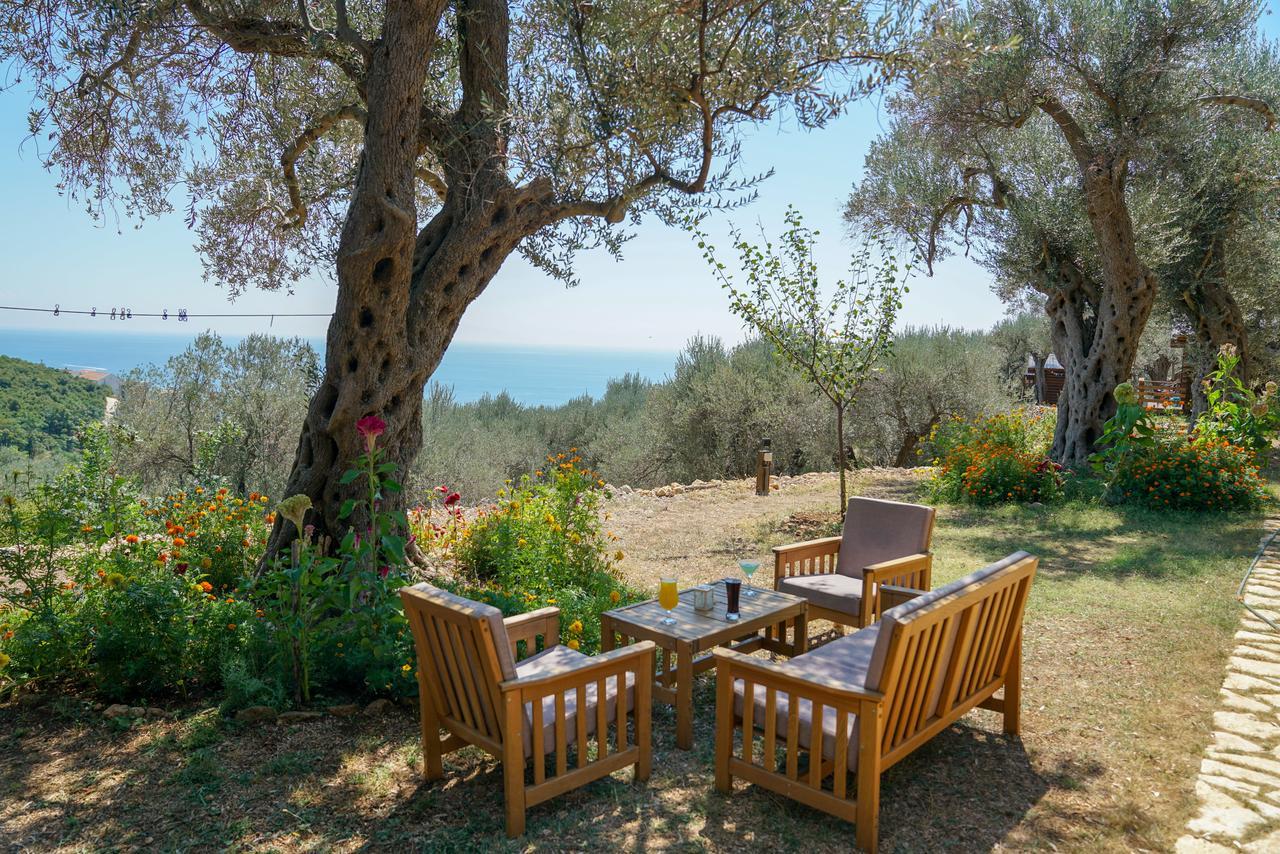 Holiday Park Olive Tree Ulcinj Zewnętrze zdjęcie