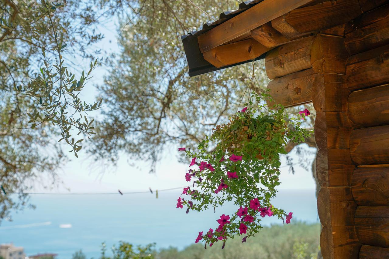 Holiday Park Olive Tree Ulcinj Zewnętrze zdjęcie
